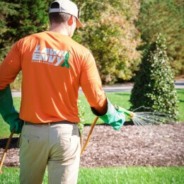 LawnEnvy-26