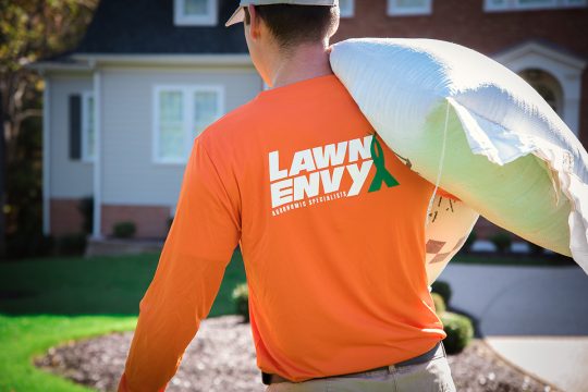 Affordable Lawn Care Services & Treatments