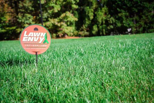 Affordable Lawn Treatment Package