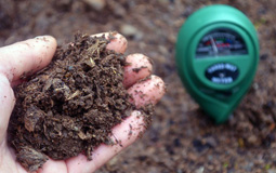 Soil Testing & Amendment Services